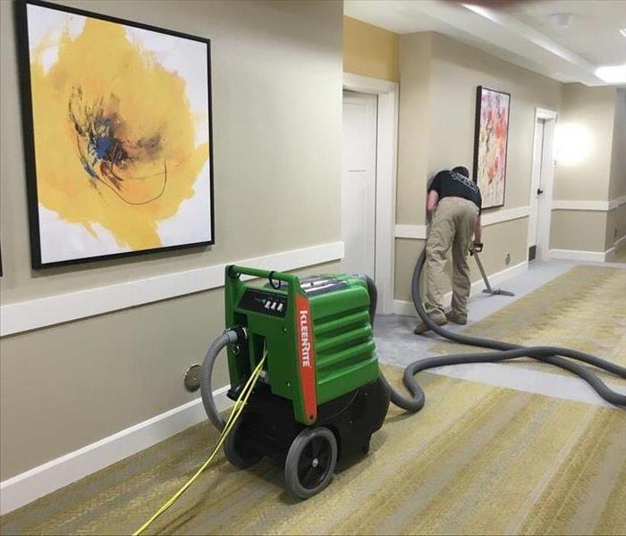 SERVPRO technician cleaning the hotel carpet