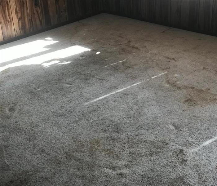 Smoke and soot damage on a carpet