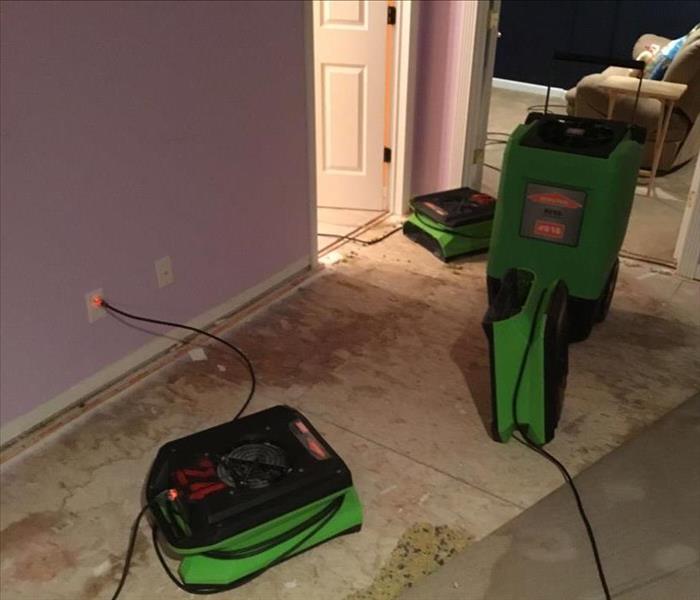 The carpet removed and air movers setup