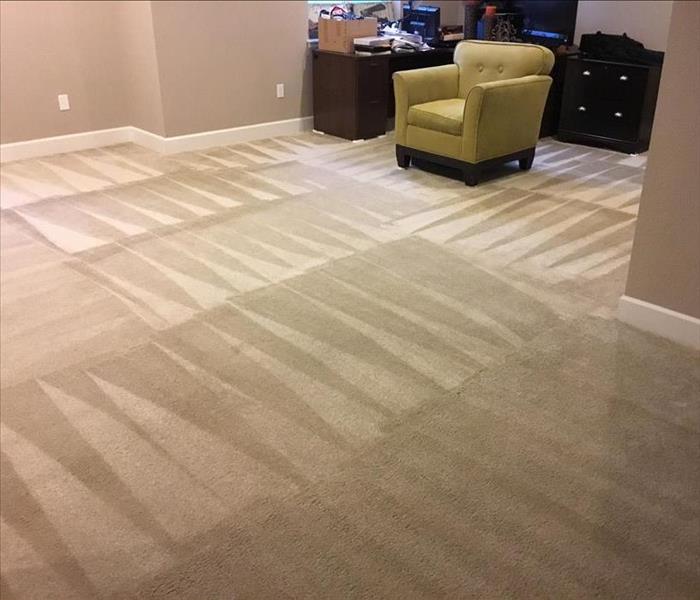 The carpet after it's been cleaned