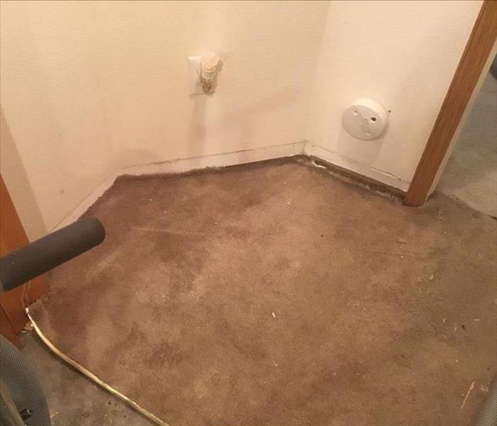 Water damaged carpet on the floor