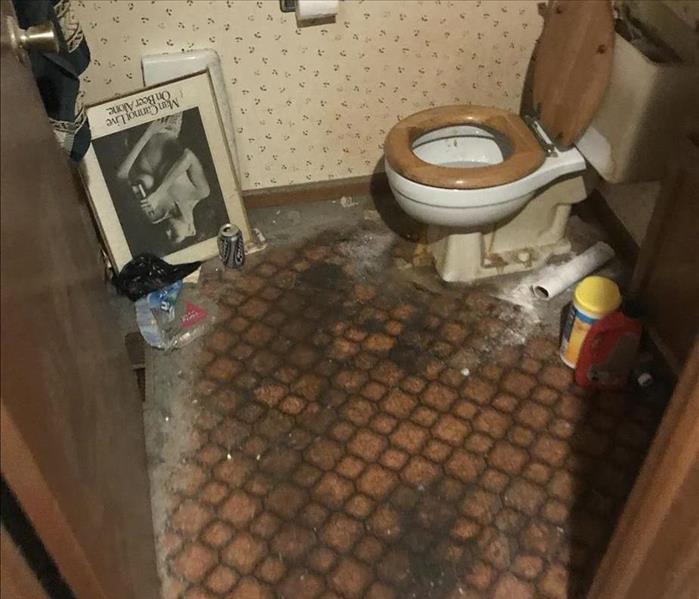 Dirty bathroom with mold on the carpet
