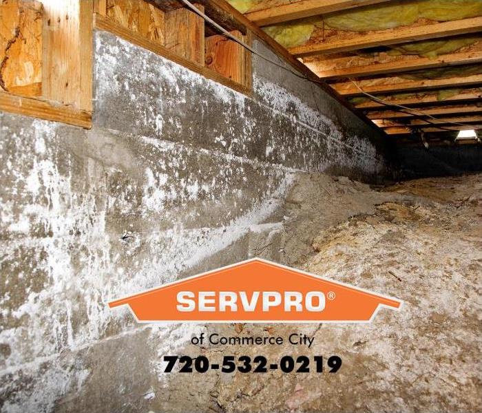 Signs of water damage can be seen under a house where white minerals have built up on the stone foundation. 