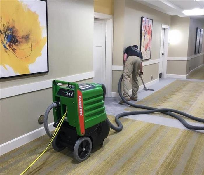 SERVPRO technician removing water from a carpet